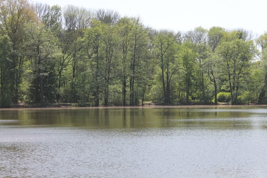photo of a water theme