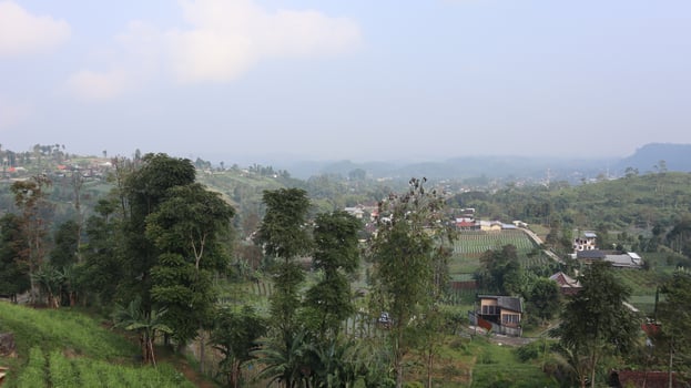 views of the rural landscape and plantations in the highlands photo