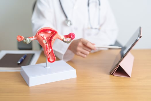Doctor with Uterus and Ovaries anatomy model and tablet. Ovarian and Cervical cancer, Cervix disorder, Endometriosis, Hysterectomy, Uterine fibroids, Reproductive system, Pregnancy photo