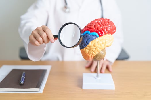 doctor with human Brain anatomy model and magnifying glass. World Brain Tumor day, Brain Stroke, Dementia, alzheimer, parkinson and world mental health concept photo