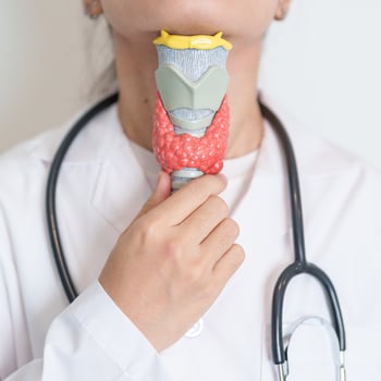 Doctor with human Thyroid anatomy model. Hyperthyroidism, Hypothyroidism, Hashimoto Thyroiditis, Thyroid Tumor and Cancer, Postpartum, Papillary Carcinoma and Health concept photo