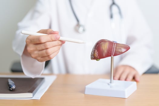 Doctor with human Liver anatomy model. Liver cancer and Tumor, Jaundice, Viral Hepatitis A, B, C, D, E, Cirrhosis, Failure, Enlarged, Hepatic Encephalopathy, Ascites Fluid in Belly and health concept photo