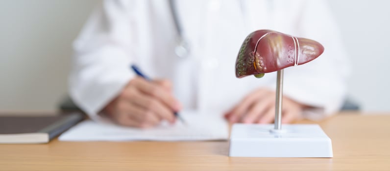 Doctor with human Liver anatomy model. Liver cancer and Tumor, Jaundice, Viral Hepatitis A, B, C, D, E, Cirrhosis, Failure, Enlarged, Hepatic Encephalopathy, Ascites Fluid in Belly and health concept photo