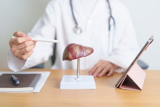 Doctor with human Liver model and tablet. Liver cancer and Tumor, Jaundice, Viral Hepatitis A, B, C, D, E, Cirrhosis, Failure, Enlarged, Hepatic Encephalopathy, Ascites Fluid in Belly and health photo