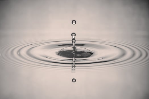 Water drops splash on the water's surface. black and white image style photo