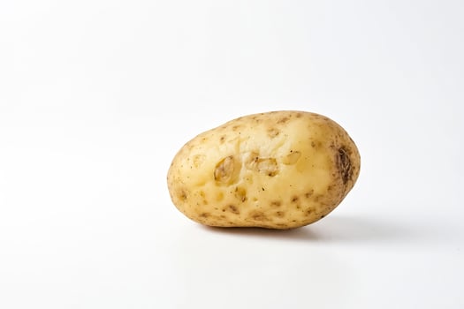 Single potato isolated on white background photo