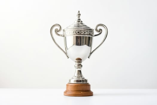 Silver Trophy Cup With Wooden Base photo