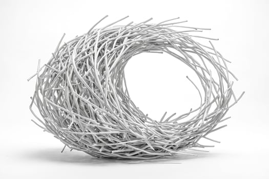 Abstract White Branches photo