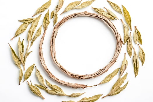 Dried leaves and branches circle frame photo