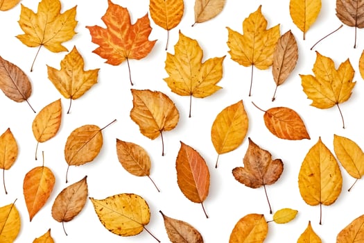 Autumn Leaf Pattern photo