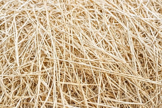 Straw Background Texture photo
