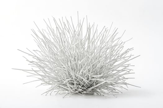 White Grass Abstract photo