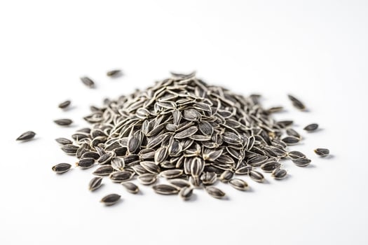 Black sunflower seeds on white background photo