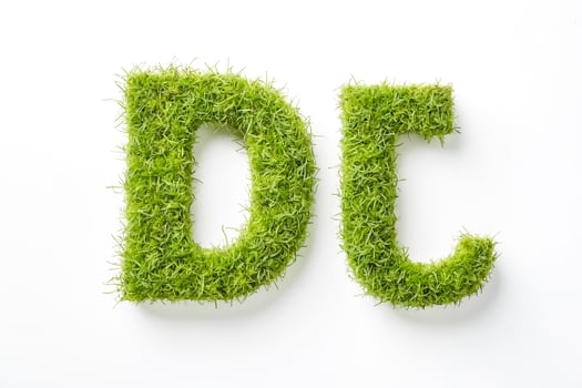 Green Grass Letters DC photo