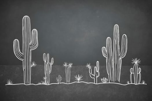 Chalkboard Cactus Drawing photo