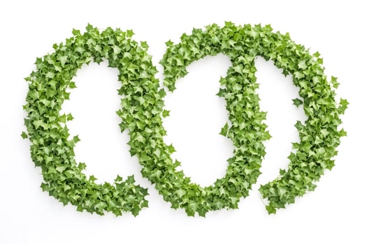 Green ivy forming the letter O photo