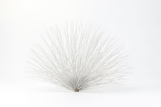 White Branch Arrangement On White Background photo