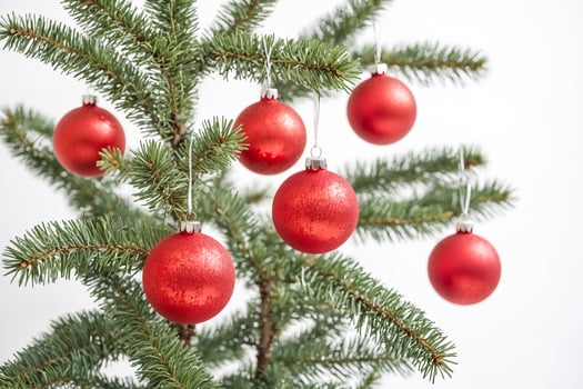 Red Christmas ornaments hanging on a Christmas tree branch photo