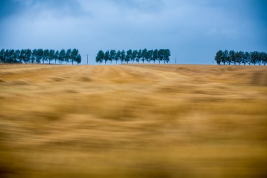 Blurry Normandy Countryside Landscape Seen from a Moving Car photo