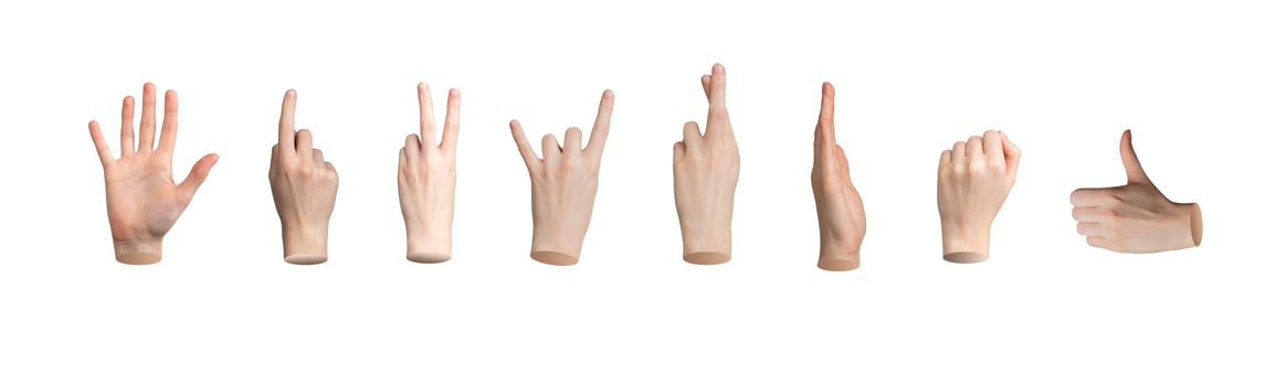 Hand gesture, basic sign pack, set. Hi, palm, pointing finger, victory, rock horns, thumb up photo