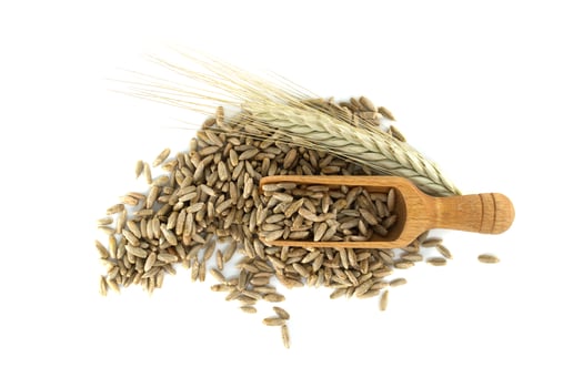 Wooden scooper filled with rye grains next to rye ears on white background photo