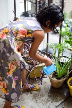 Cute 5 year old Asian little girl is watering the plant in the pots located at house balcony, Love of sweet little girl for the mother nature during watering into plants, Kid Planting photo