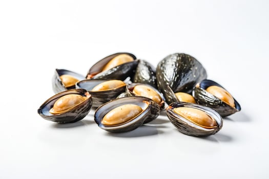 Fresh Cooked Mussels on White Background photo
