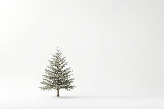 Small Christmas Tree on White Background photo