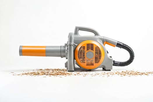 Leaf Blower with Scattered Leaves photo