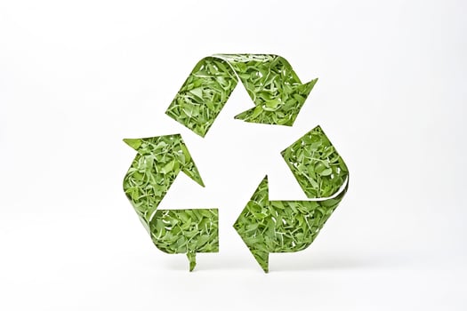 Green Recycling Symbol Made of Leaves photo