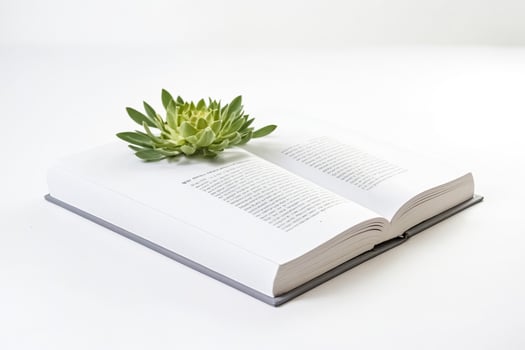 Open book with green succulent plant photo