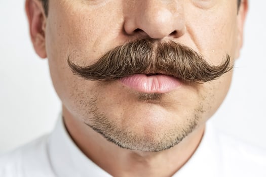 Close-up of a man's mouth with a thick mustache photo