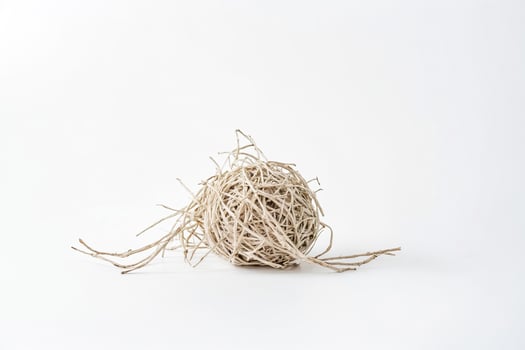 Dried Twigs Arranged in a Ball Shape photo