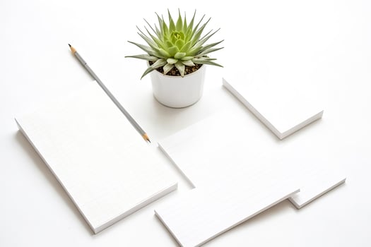 Minimalist Workspace with Pencil and Plant photo