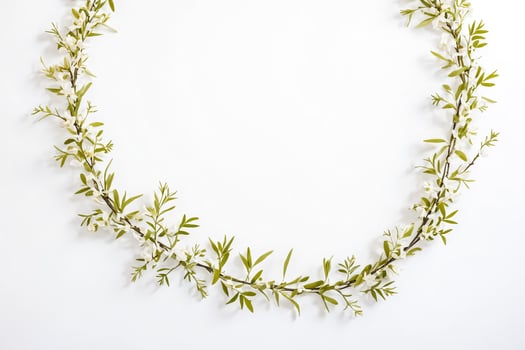 White Flowers Circle Frame on White Background photo