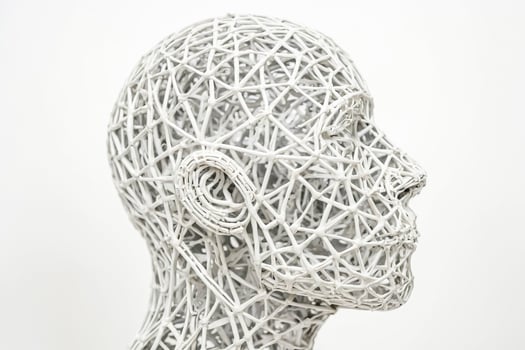 Abstract Wireframe Head Sculpture photo