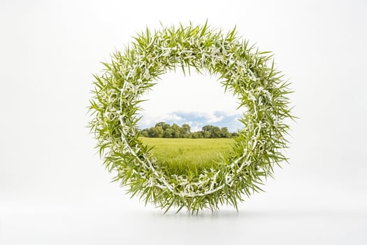 Green Wreath Frame With a View of a Field photo