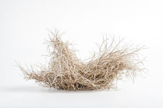 Dried Grass Nest on White Background photo