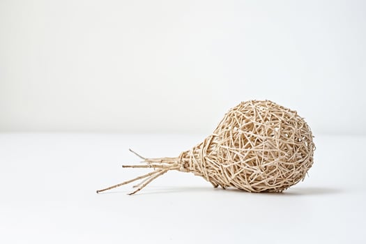 Woven Sphere with Tendrils on White Background photo