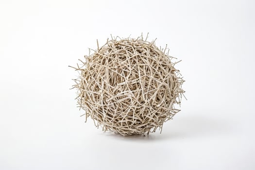 Closeup of a Dried Plant Sphere photo