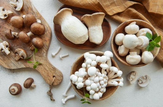 Assortment of various raw mushrooms on gray concrete background photo