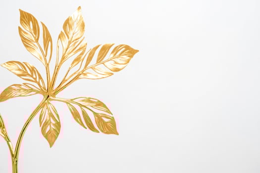 Golden Leaf Branch on White Background photo