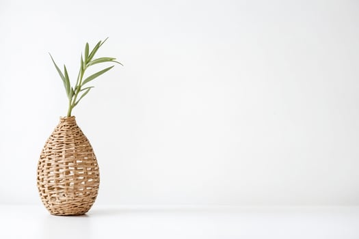 Minimalist Wicker Vase with Green Plant on White Background photo