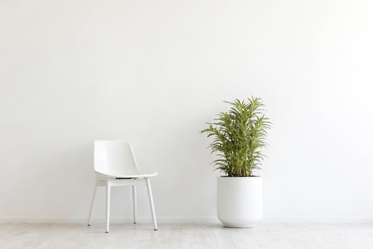 White Chair and Plant in Minimalist Interior photo