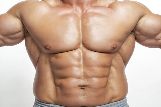 Muscular Male Torso photo