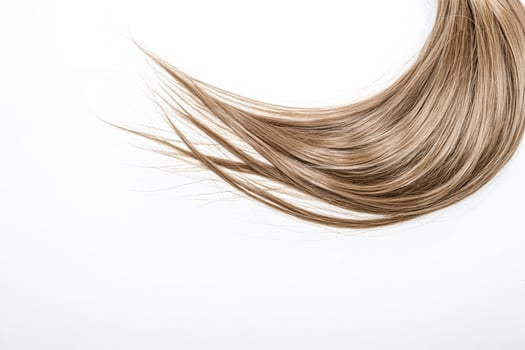 Long, Blonde Hair Falling on White Background photo