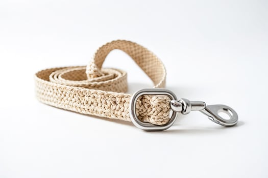 Closeup of a Beige Braided Dog Leash with a Metal Clip photo