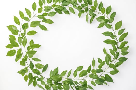 Green Leaves Circle Frame on White Background photo