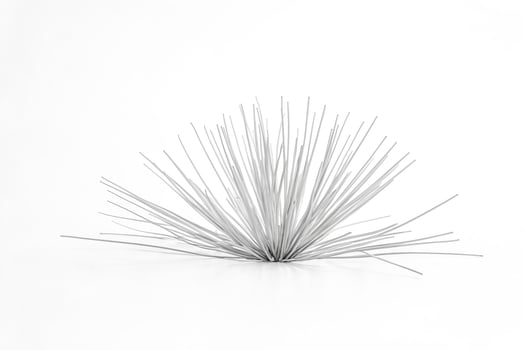 Abstract White Spiky Plant photo