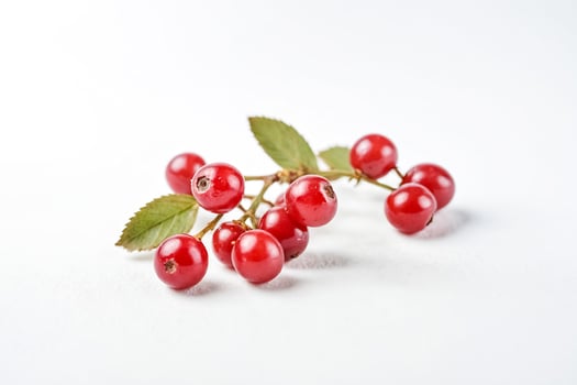 Red berries on a white background photo